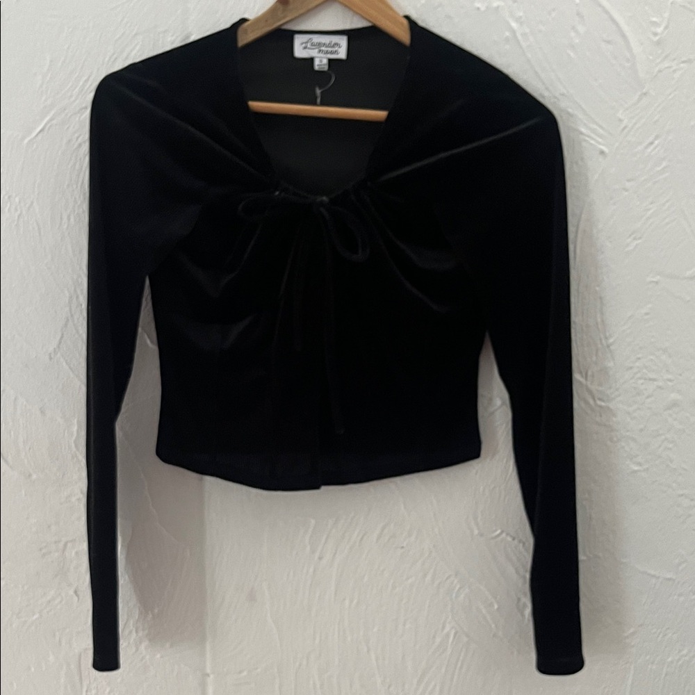 Lavender Moon Black Velvet Blouse